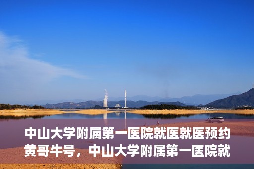 中山大学附属第一医院就医就医预约黄哥牛号，中山大学附属第一医院就医预约攻略，黄哥牛号助您轻松挂号就医