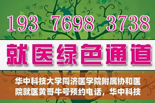 华中科技大学同济医学院附属协和医院就医黄哥牛号预约电话，华中科技大学同济医学院附属协和医院就医预约电话及黄哥牛号预约攻略