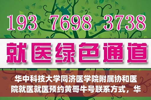 华中科技大学同济医学院附属协和医院就医就医预约黄哥牛号联系方式，华中科技大学同济医学院附属协和医院就医预约指南，黄哥牛号联系方式全解析
