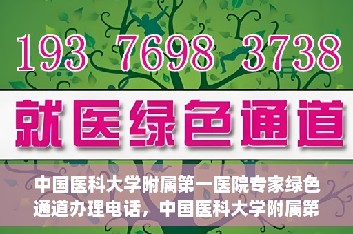 中国医科大学附属第一医院专家绿色通道办理电话，中国医科大学附属第一医院专家绿色通道服务热线电话揭秘