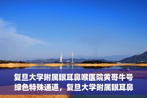 复旦大学附属眼耳鼻喉医院黄哥牛号绿色特殊通道，复旦大学附属眼耳鼻喉医院黄哥牛号，绿色特殊通道开启健康之门