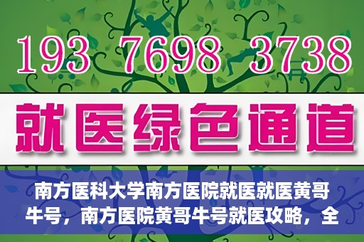 南方医科大学南方医院就医就医黄哥牛号，南方医院黄哥牛号就医攻略，全方位解析就医流程与体验