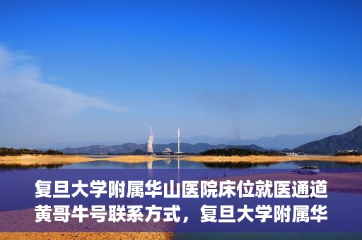 复旦大学附属华山医院床位就医通道黄哥牛号联系方式，复旦大学附属华山医院床位就医通道，黄哥牛号联系方式全解析