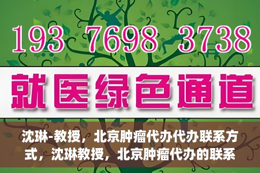 沈琳-教授，北京肿瘤代办代办联系方式，沈琳教授，北京肿瘤代办的联系渠道揭秘