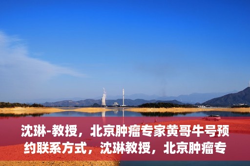 沈琳-教授，北京肿瘤专家黄哥牛号预约联系方式，沈琳教授，北京肿瘤专家预约联系方式及黄哥牛号解读