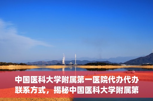 中国医科大学附属第一医院代办代办联系方式，揭秘中国医科大学附属第一医院代办联系方式，权威医疗服务的便捷通道