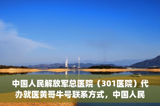 中国人民解放军总医院（301医院）代办就医黄哥牛号联系方式，中国人民解放军总医院（301医院）黄哥就医助手联系方式揭秘