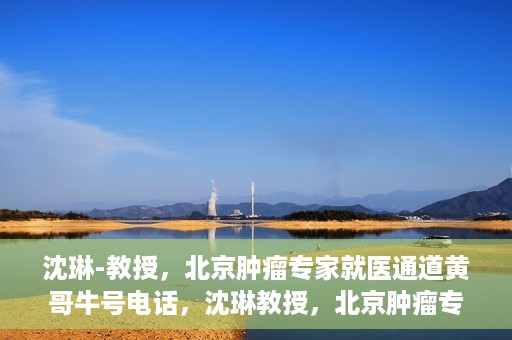 沈琳-教授，北京肿瘤专家就医通道黄哥牛号电话，沈琳教授，北京肿瘤专家就医通道揭秘与黄哥牛号电话热线解读