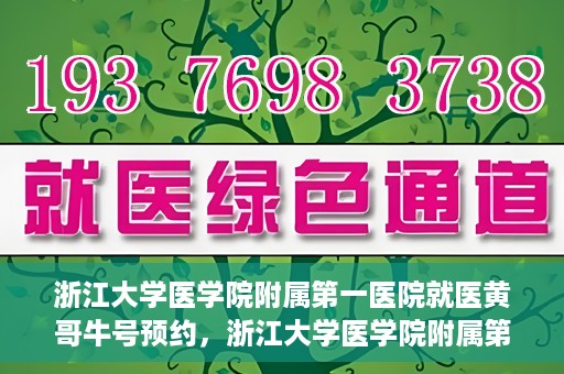 浙江大学医学院附属第一医院就医黄哥牛号预约，浙江大学医学院附属第一医院就医攻略，黄哥牛号预约详解