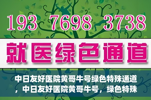 中日友好医院黄哥牛号绿色特殊通道，中日友好医院黄哥牛号，绿色特殊通道开启健康之门