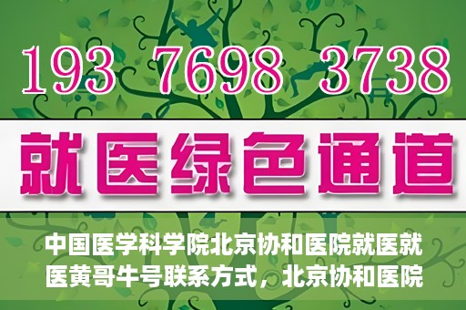 中国医学科学院北京协和医院就医就医黄哥牛号联系方式，北京协和医院就医攻略，黄哥牛号联系方式揭秘！