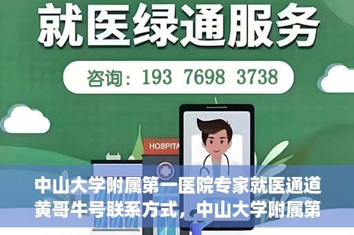 中山大学附属第一医院专家就医通道黄哥牛号联系方式，中山大学附属第一医院专家就医通道，黄哥牛号联系方式全解析