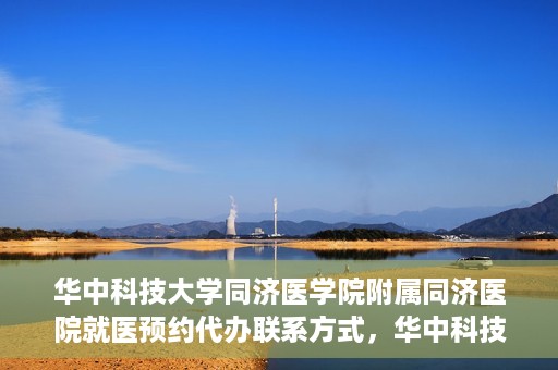 华中科技大学同济医学院附属同济医院就医预约代办联系方式，华中科技大学同济医学院附属同济医院就医预约代办服务指南，一键预约，轻松就医联系渠道全解析