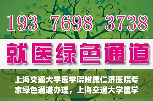 上海交通大学医学院附属仁济医院专家绿色通道办理，上海交通大学医学院附属仁济医院专家绿色通道办理详解与攻略