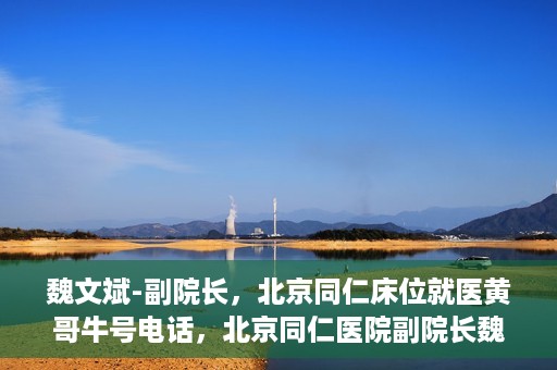 魏文斌-副院长，北京同仁床位就医黄哥牛号电话，北京同仁医院副院长魏文斌，床位就医黄哥牛号电话揭秘