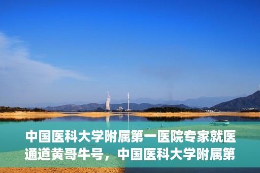 中国医科大学附属第一医院专家就医通道黄哥牛号，中国医科大学附属第一医院专家就医通道揭秘，黄哥牛号引领就医新风尚