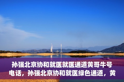 孙强北京协和就医就医通道黄哥牛号电话，孙强北京协和就医绿色通道，黄哥牛号电话直达就医通道