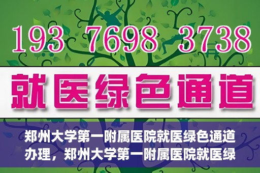 郑州大学第一附属医院就医绿色通道办理，郑州大学第一附属医院就医绿色通道办理详解，快速就医，从这里开始！