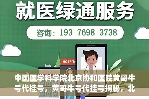 中国医学科学院北京协和医院黄哥牛号代挂号，黄哥牛号代挂号揭秘，北京协和医院挂号背后的故事