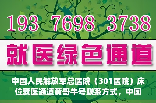 中国人民解放军总医院（301医院）床位就医通道黄哥牛号联系方式，中国人民解放军总医院（301医院）床位就医通道详解，黄哥牛号联系方式及就医指南