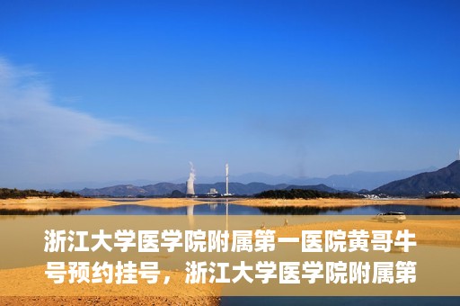 浙江大学医学院附属第一医院黄哥牛号预约挂号，浙江大学医学院附属第一医院黄哥牛号预约挂号攻略详解