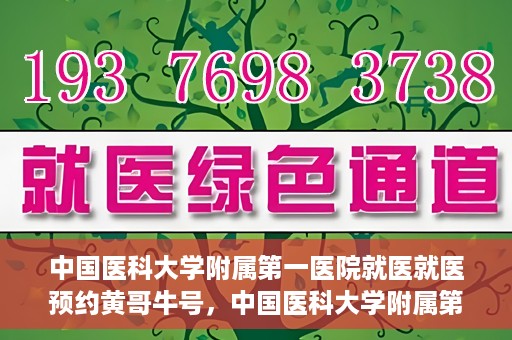 中国医科大学附属第一医院就医就医预约黄哥牛号，中国医科大学附属第一医院就医预约黄哥牛号，一站式便捷医疗体验新选择