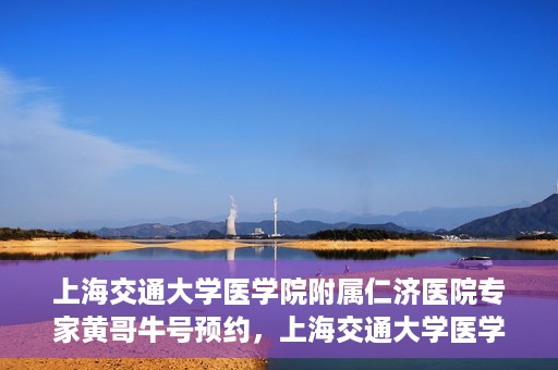 上海交通大学医学院附属仁济医院专家黄哥牛号预约，上海交通大学医学院附属仁济医院专家黄哥牛号预约指南解析