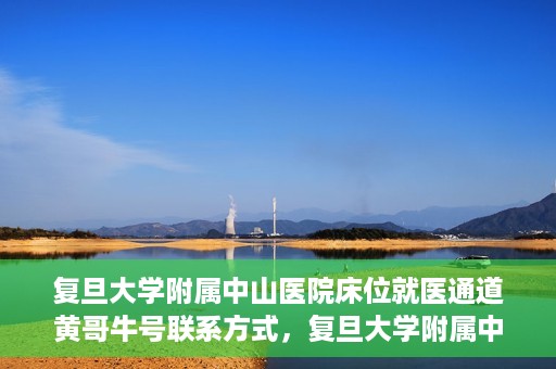 复旦大学附属中山医院床位就医通道黄哥牛号联系方式，复旦大学附属中山医院床位就医通道，黄哥牛号联系方式全解析