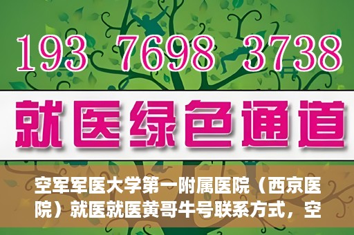 空军军医大学第一附属医院（西京医院）就医就医黄哥牛号联系方式，空军军医大学第一附属医院（西京医院）就医指南及黄哥牛号联系方式揭秘