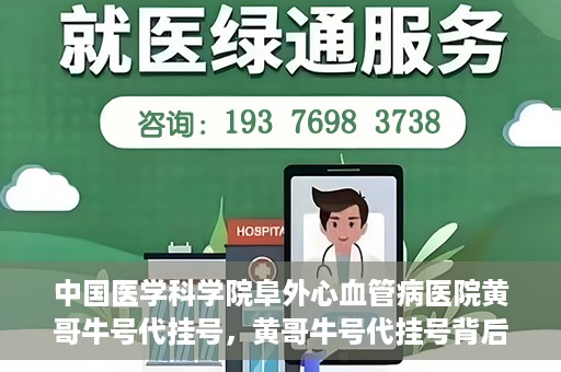 中国医学科学院阜外心血管病医院黄哥牛号代挂号，黄哥牛号代挂号背后的故事，阜外心血管病医院的探索与挑战