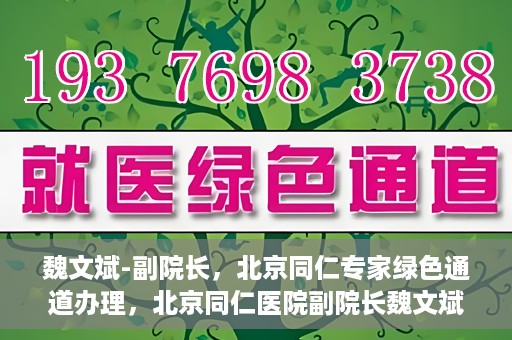魏文斌-副院长，北京同仁专家绿色通道办理，北京同仁医院副院长魏文斌，专家绿色通道办理详解