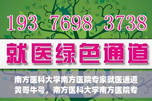 南方医科大学南方医院专家就医通道黄哥牛号，南方医科大学南方医院专家就医通道揭秘，黄哥牛号引领健康之路