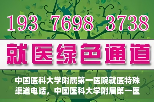 中国医科大学附属第一医院就医特殊渠道电话，中国医科大学附属第一医院特殊就医渠道联系电话详解