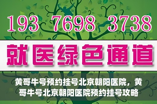黄哥牛号预约挂号北京朝阳医院，黄哥牛号北京朝阳医院预约挂号攻略