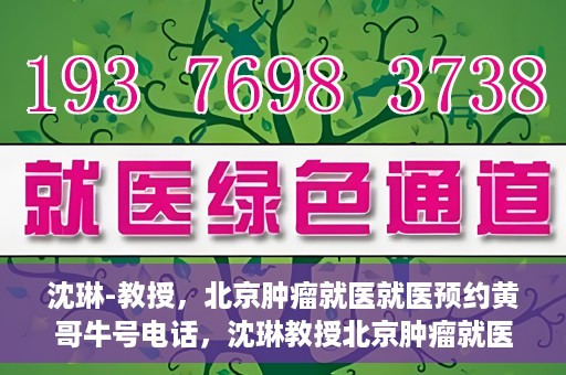 沈琳-教授，北京肿瘤就医就医预约黄哥牛号电话，沈琳教授北京肿瘤就医预约热线揭秘，黄哥牛号电话助您轻松挂号就医