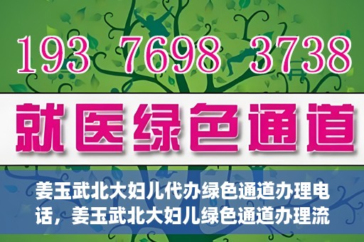 姜玉武北大妇儿代办绿色通道办理电话，姜玉武北大妇儿绿色通道办理流程及联系电话全解析