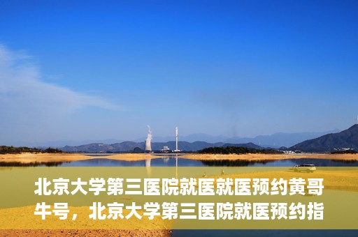 北京大学第三医院就医就医预约黄哥牛号，北京大学第三医院就医预约指南，黄哥牛号助您轻松挂号就医