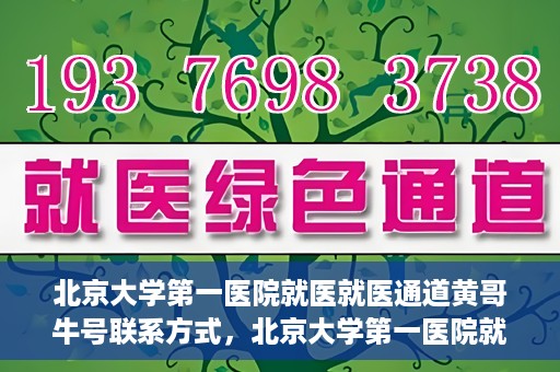 北京大学第一医院就医就医通道黄哥牛号联系方式，北京大学第一医院就医通道详解，黄哥牛号联系方式揭秘