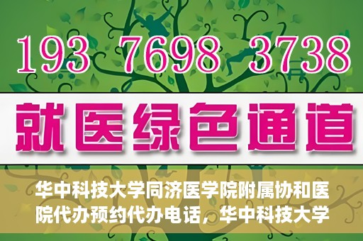 华中科技大学同济医学院附属协和医院代办预约代办电话，华中科技大学同济医学院附属协和医院预约代办服务热线解析