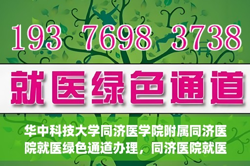 华中科技大学同济医学院附属同济医院就医绿色通道办理，同济医院就医绿色通道办理详解，华中科技大学同济医学院附属同济医院就医流程优化体验