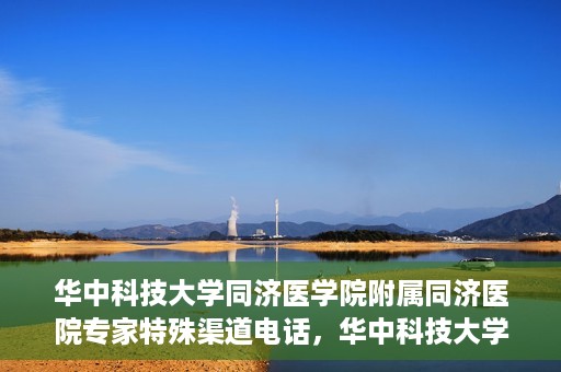 华中科技大学同济医学院附属同济医院专家特殊渠道电话，华中科技大学同济医院专家特殊渠道电话专线揭秘
