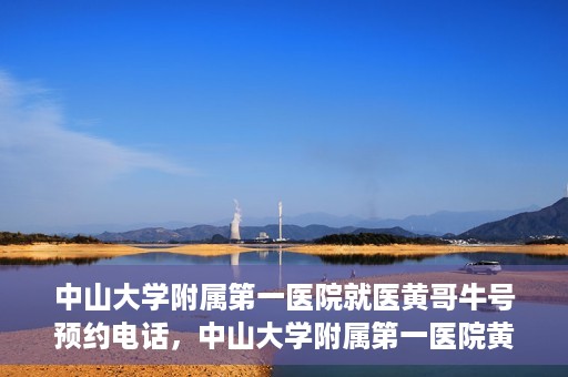 中山大学附属第一医院就医黄哥牛号预约电话，中山大学附属第一医院黄哥牛号预约电话及就医指南