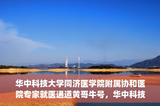 华中科技大学同济医学院附属协和医院专家就医通道黄哥牛号，华中科技大学同济医学院附属协和医院专家就医通道，黄哥牛号专家预约指南