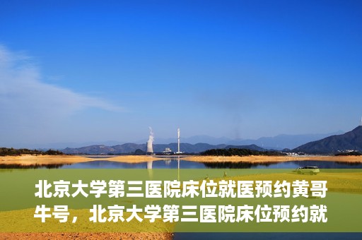北京大学第三医院床位就医预约黄哥牛号，北京大学第三医院床位预约就医攻略，黄哥牛号助您轻松挂号就医