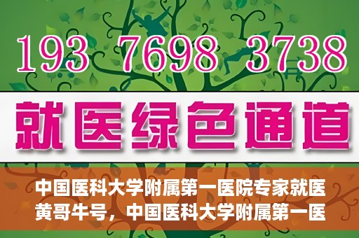 中国医科大学附属第一医院专家就医黄哥牛号，中国医科大学附属第一医院专家黄哥牛号解析就医攻略