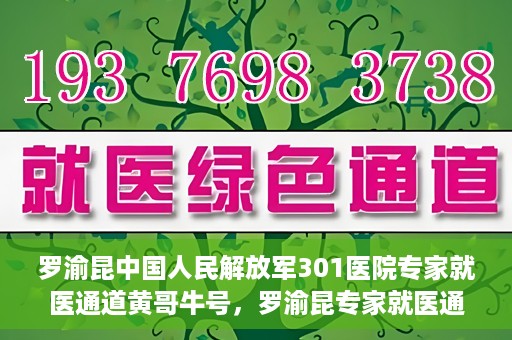 罗渝昆中国人民解放军301医院专家就医通道黄哥牛号，罗渝昆专家就医通道揭秘，中国人民解放军301医院黄哥牛号引领健康之路