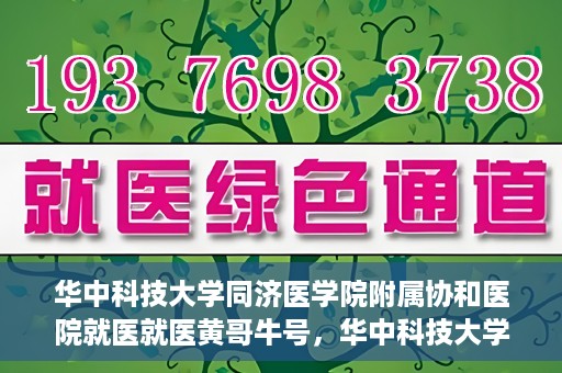 华中科技大学同济医学院附属协和医院就医就医黄哥牛号，华中科技大学同济医学院附属协和医院就医黄哥牛号解析与体验