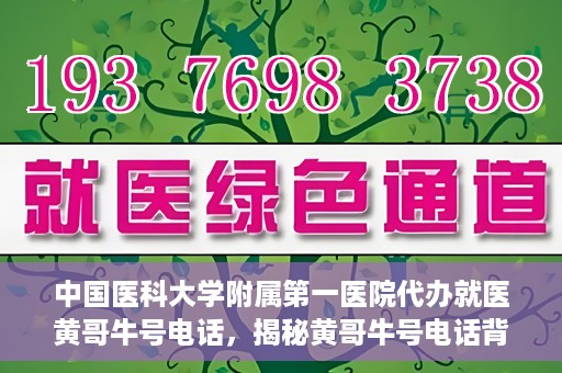 中国医科大学附属第一医院代办就医黄哥牛号电话，揭秘黄哥牛号电话背后的就医代办故事——中国医科大学附属第一医院就医指南与解读