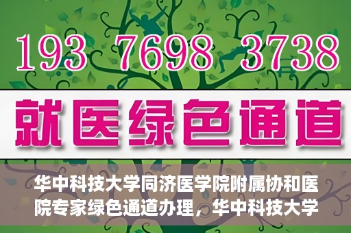 华中科技大学同济医学院附属协和医院专家绿色通道办理，华中科技大学同济医学院附属协和医院专家绿色通道办理详解