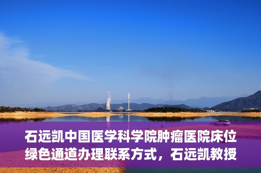 石远凯中国医学科学院肿瘤医院床位绿色通道办理联系方式，石远凯教授团队床位绿色通道办理指南，中国医学科学院肿瘤医院联系方式揭秘
